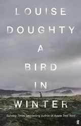 A Bird in Winter - DOUGHTY,  Louise - 9780571322183