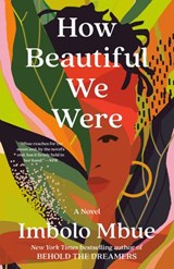 How Beautiful We Were - Imbolo Mbue - 9780593132432