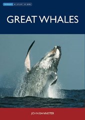 Great Whales