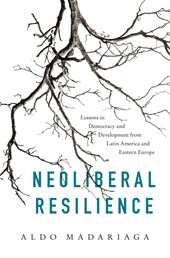 Neoliberal Resilience