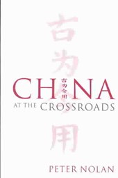 China at the Crossroads