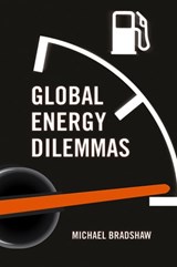 Global Energy Dilemmas - Mike Bradshaw - 9780745672144