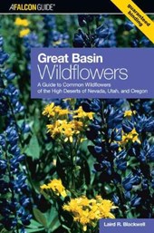 Great Basin Wildflowers