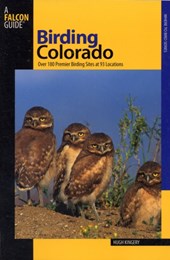 Birding Colorado