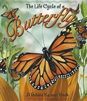 The Life Cycle of a Butterfly [With CD]