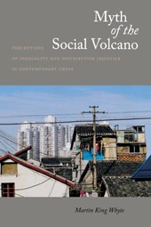 Myth of the Social Volcano