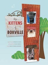 Kittens of Boxville