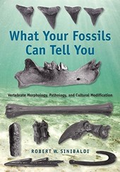 What Your Fossils Can Tell You