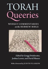 Torah Queeries - Gregg Drinkwater ; Joshua Lesser ; Judith Plaskow ; David Shneer - 9780814741092