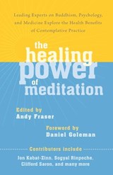 The Healing Power of Meditation - Andy Fraser ; Jon Kabat-Zinn ; Sogyal Rinpoche ; Clifford Saron - 9780834828933