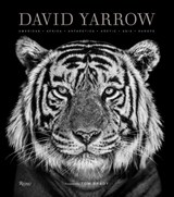 David Yarrow Photography - David Yarrow ; Tom Brady - 9780847864775