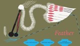 Feather - Cao Wenxuan - 9780914671862