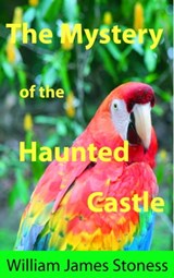 The Mystery of the Haunted Castle - William James Stoness - 9780986812989