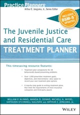 The Juvenile Justice and Residential Care Treatment Planner, with DSM 5 Updates - David J. Berghuis - 9781119075097