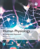 Human Physiology: An Integrated Approach, Global Edition - SILVERTHORN,  Dee - 9781292259543