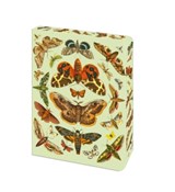The Moth Journal - Arcturus Publishing Limited - 9781398862951
