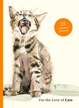 For the Love of Cats: 25 Postcards - SAMPSON,  Ana - 9781399600132