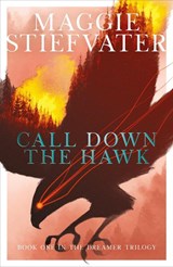 Call Down the Hawk: The Dreamer Trilogy #1 - Maggie Stiefvater - 9781407194462