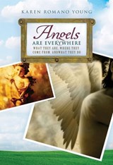 Angels Are Everywhere - Karen Romano Young - 9781416997689