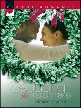 Seducing the Matchmaker - Elaine Overton - 9781426824241