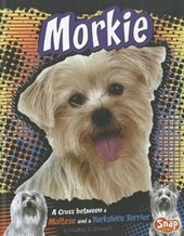 Morkie