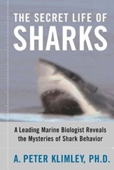The Secret Life of Sharks - A. Peter Klimley, Ph.D. - 9781439104316