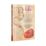 Lily & Tomato (Mira Botanica) Midi Unlined Journal - Paperblanks - 9781439793497