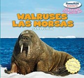 Walruses / Las Morsas