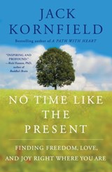 No Time Like the Present - Jack Kornfield - 9781451693713