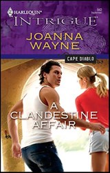 A Clandestine Affair - Joanna Wayne - 9781459225558
