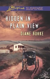 Hidden in Plain View - Diane Burke - 9781460310786
