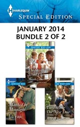 Harlequin Special Edition January 2014 - Bundle 2 of 2 - Gina Wilkins ; Michelle Celmer ; Helen R. Myers - 9781460328385