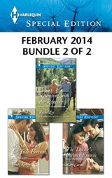 Harlequin Special Edition February 2014 - Bundle 2 of 2 - Cindy Kirk ; Rachel Lee ; Caro Carson - 9781460329863