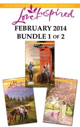 Love Inspired February 2014 - Bundle 1 of 2 - Brenda Minton ; Leigh Bale ; Renee Andrews - 9781460329986
