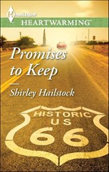 Promises to Keep - Shirley Hailstock - 9781460385791