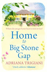 Home to Big Stone Gap - Adriana Trigiani - 9781471188749