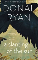 A Slanting of the Sun: Stories - Donal Ryan - 9781473509948