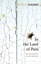 In the Land of Pain - Alphonse Daudet - 9781473552319