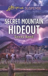 Secret Mountain Hideout - Terri Reed - 9781488060878