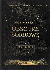 The Dictionary of Obscure Sorrows - John Koenig - 9781501153648