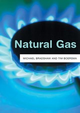 Natural Gas - Michael J. Bradshaw ; Tim Boersma - 9781509542857