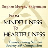 From Mindfulness to Heartfulness - Stephen Murphy-Shigematsu - 9781523094578