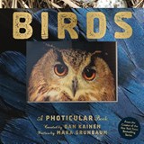 Birds - Dan Kainen ; Mara Grunbaum - 9781523532070