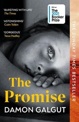 The Promise - Damon Galgut - 9781529113877