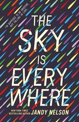 The Sky Is Everywhere - Jandy Nelson - 9781529525618