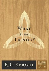 WHAT IS THE TRINITY