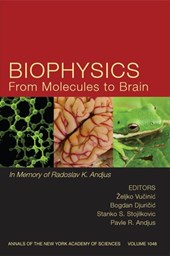 Biophysics From Molecules to Brain