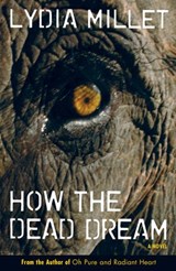 How the Dead Dream - Lydia Millet - 9781582439594