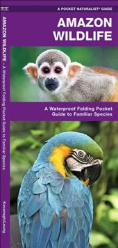 Amazon Wildlife: A Folding Pocket Guide to Familiar Animals
