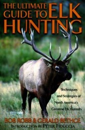 Ultimate Guide to Elk Hunting